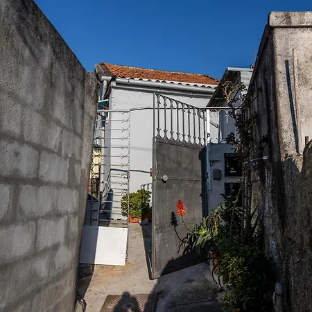 House On A Rustic Island At Campanha Trainstation Apartment Porto Exterior photo